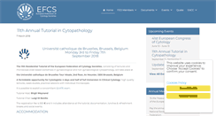 Desktop Screenshot of efcs.eu
