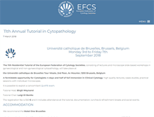Tablet Screenshot of efcs.eu